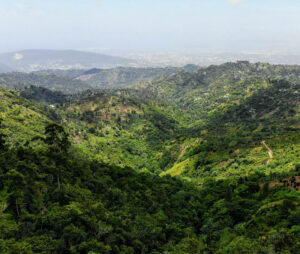 Autoverhuur in Jamaica